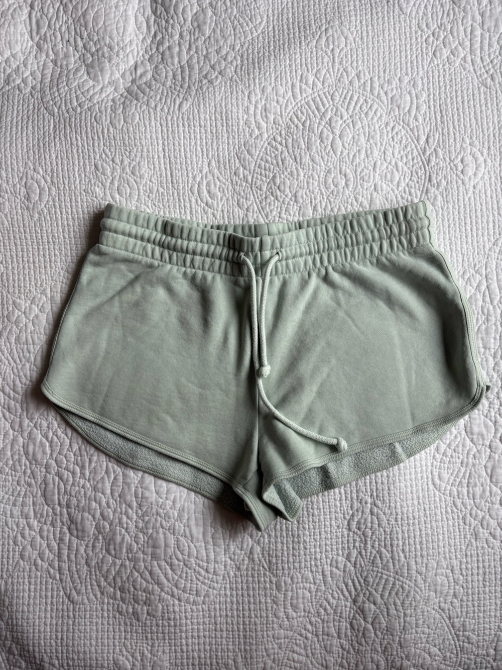 TNA Cozy Aritzia Boyfriend Shorts in Mint